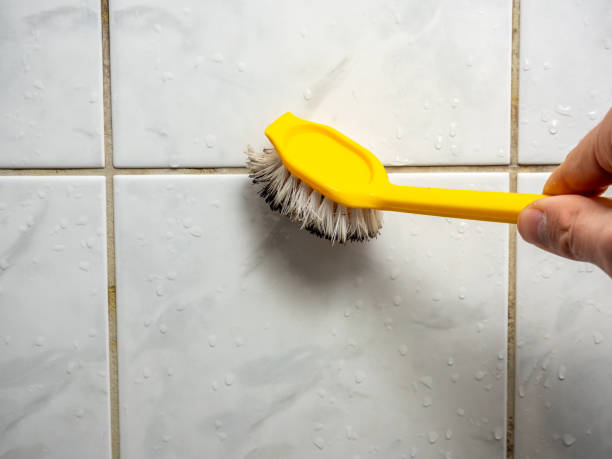 Best Bathroom Mold Remediation in Citrus City, TX